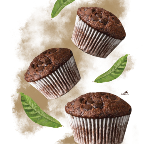 cocoa natural organic-04